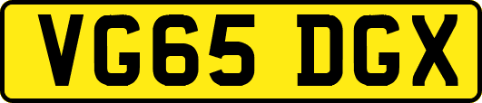VG65DGX
