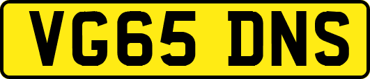 VG65DNS