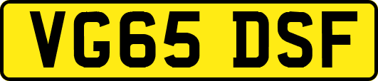VG65DSF