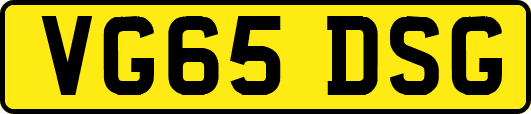 VG65DSG