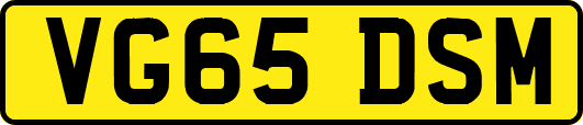 VG65DSM