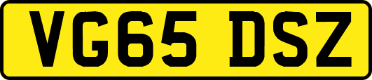 VG65DSZ
