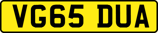 VG65DUA