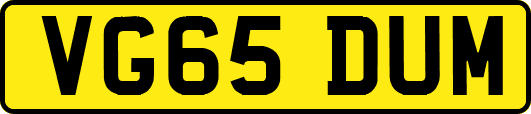 VG65DUM