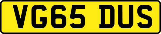 VG65DUS