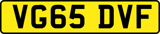 VG65DVF