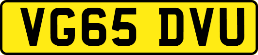 VG65DVU