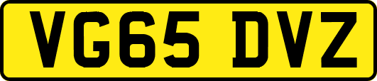 VG65DVZ