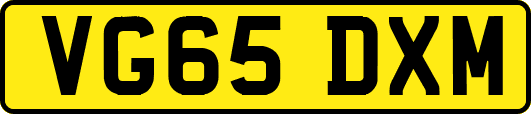 VG65DXM