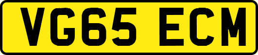 VG65ECM
