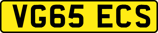 VG65ECS
