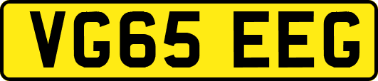 VG65EEG