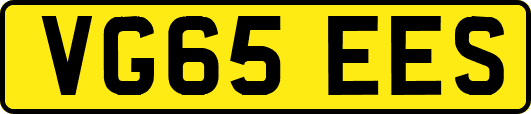 VG65EES