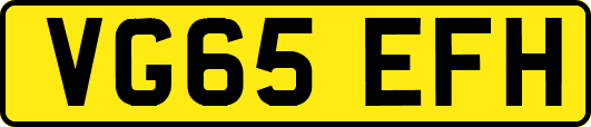 VG65EFH