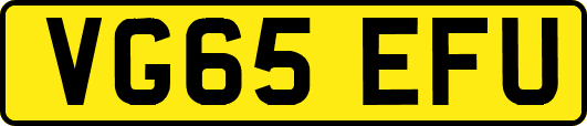 VG65EFU