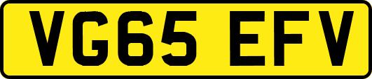 VG65EFV