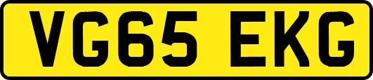 VG65EKG