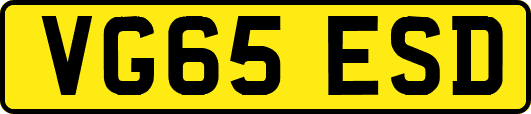 VG65ESD