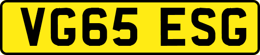 VG65ESG