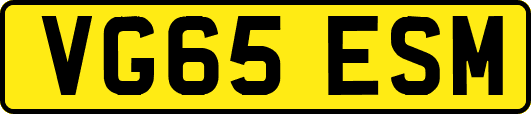 VG65ESM