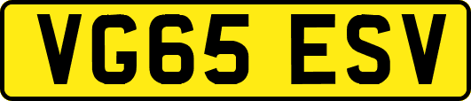 VG65ESV