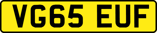 VG65EUF