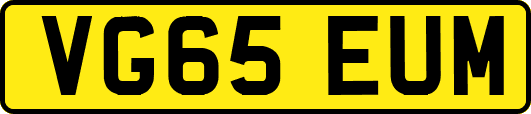 VG65EUM