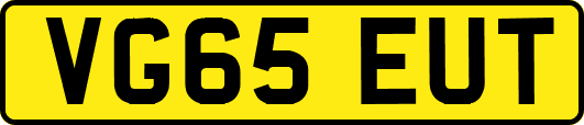VG65EUT