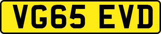 VG65EVD