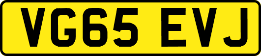 VG65EVJ