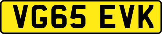 VG65EVK
