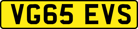VG65EVS