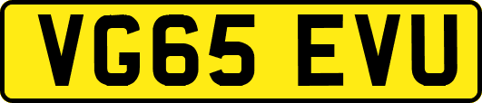 VG65EVU