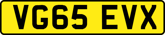 VG65EVX