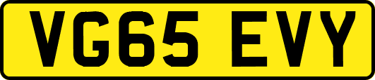 VG65EVY