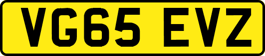 VG65EVZ