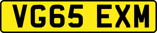 VG65EXM