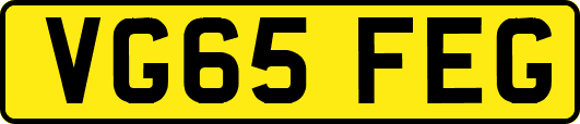 VG65FEG