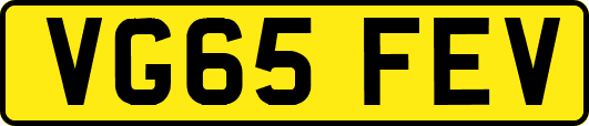 VG65FEV