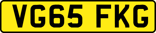VG65FKG