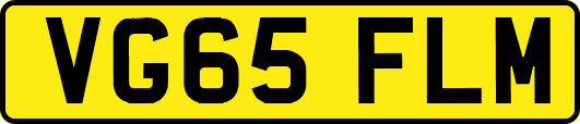 VG65FLM