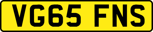 VG65FNS