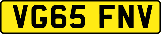 VG65FNV