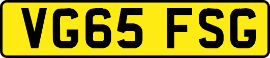 VG65FSG