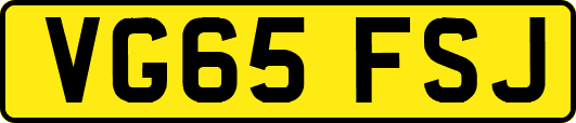 VG65FSJ