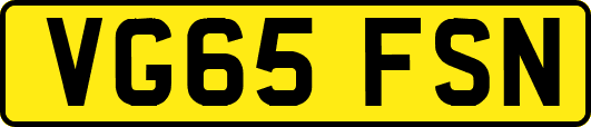 VG65FSN