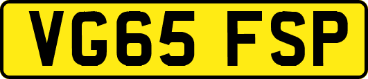 VG65FSP