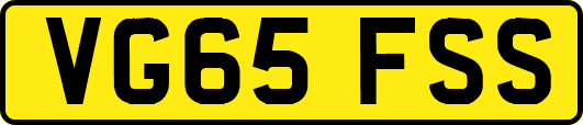 VG65FSS