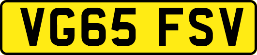 VG65FSV