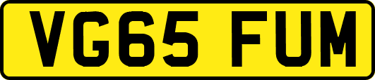 VG65FUM